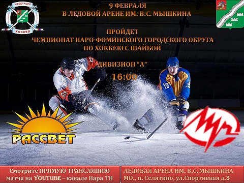 Чемпионат по хоккею с шайбой 9 февраля в 16:00