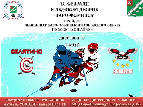 16 февраля в 14:00 февраля в Ледовом Дворце «Наро-Фоминск» пройдет Чемпионат по хоккею с шайбой