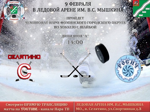 Чемпионат по хоккею с шайбой 9 февраля в 14:00