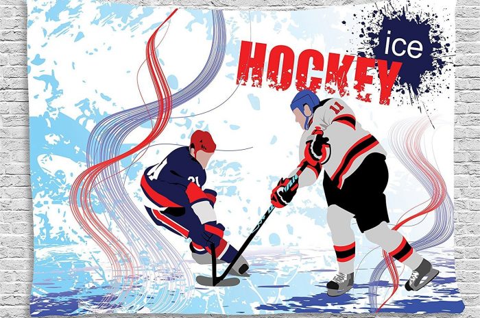 05-06 декабря  пройдет чемпионат по хоккею среди любительских Команд Наро-Фоминского городского округа по хоккею с шайбой.