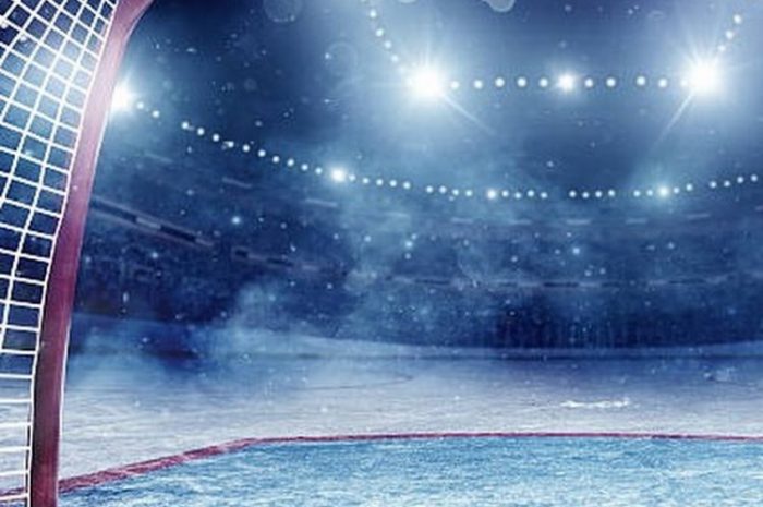 Результаты матчей чемпионата по хоккею среди любительских команд Наро-Фоминского городского округа 5 — 6 ноября  2022 года